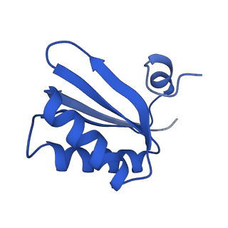 9312_6n07_LF_v1-3
Structure of the HO BMC shell: BMC-TD focused map, open inner pore, compacted shell