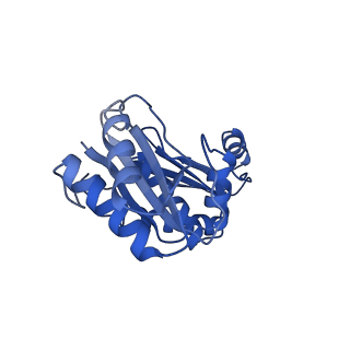 9313_6n09_A_v1-3
Cryo-EM structure of the HO BMC shell: subregion classified for BMC-T: TD-TDTDTD