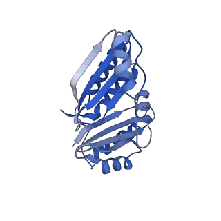 9313_6n09_C_v1-3
Cryo-EM structure of the HO BMC shell: subregion classified for BMC-T: TD-TDTDTD