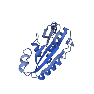 9313_6n09_D_v1-3
Cryo-EM structure of the HO BMC shell: subregion classified for BMC-T: TD-TDTDTD