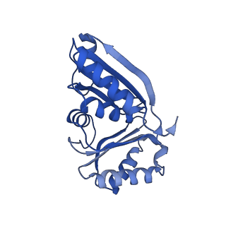 9313_6n09_E_v1-3
Cryo-EM structure of the HO BMC shell: subregion classified for BMC-T: TD-TDTDTD