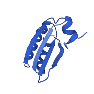 9313_6n09_GC_v1-3
Cryo-EM structure of the HO BMC shell: subregion classified for BMC-T: TD-TDTDTD