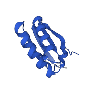 9313_6n09_GF_v1-3
Cryo-EM structure of the HO BMC shell: subregion classified for BMC-T: TD-TDTDTD