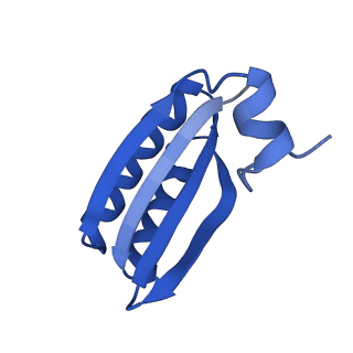 9313_6n09_HB_v1-3
Cryo-EM structure of the HO BMC shell: subregion classified for BMC-T: TD-TDTDTD