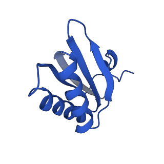 9313_6n09_HD_v1-3
Cryo-EM structure of the HO BMC shell: subregion classified for BMC-T: TD-TDTDTD