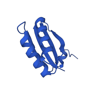 9313_6n09_HE_v1-3
Cryo-EM structure of the HO BMC shell: subregion classified for BMC-T: TD-TDTDTD