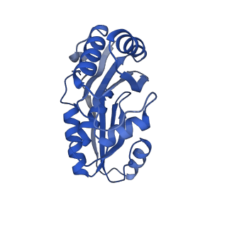 9313_6n09_H_v1-3
Cryo-EM structure of the HO BMC shell: subregion classified for BMC-T: TD-TDTDTD