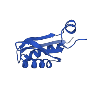 9313_6n09_IB_v1-3
Cryo-EM structure of the HO BMC shell: subregion classified for BMC-T: TD-TDTDTD