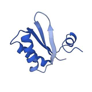 9313_6n09_IC_v1-3
Cryo-EM structure of the HO BMC shell: subregion classified for BMC-T: TD-TDTDTD