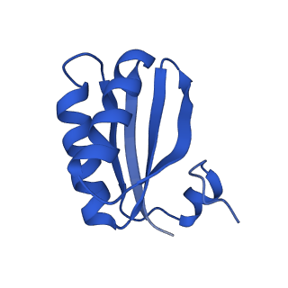 9313_6n09_ID_v1-3
Cryo-EM structure of the HO BMC shell: subregion classified for BMC-T: TD-TDTDTD