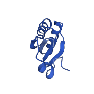 9313_6n09_IF_v1-3
Cryo-EM structure of the HO BMC shell: subregion classified for BMC-T: TD-TDTDTD