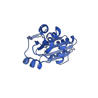 9313_6n09_I_v1-3
Cryo-EM structure of the HO BMC shell: subregion classified for BMC-T: TD-TDTDTD