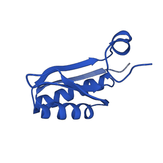 9313_6n09_JA_v1-3
Cryo-EM structure of the HO BMC shell: subregion classified for BMC-T: TD-TDTDTD