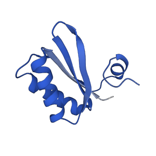 9313_6n09_JB_v1-3
Cryo-EM structure of the HO BMC shell: subregion classified for BMC-T: TD-TDTDTD