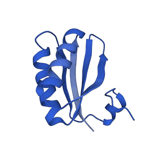 9313_6n09_JC_v1-3
Cryo-EM structure of the HO BMC shell: subregion classified for BMC-T: TD-TDTDTD