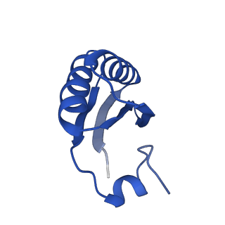 9313_6n09_JD_v1-3
Cryo-EM structure of the HO BMC shell: subregion classified for BMC-T: TD-TDTDTD