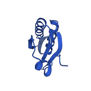 9313_6n09_JE_v1-3
Cryo-EM structure of the HO BMC shell: subregion classified for BMC-T: TD-TDTDTD