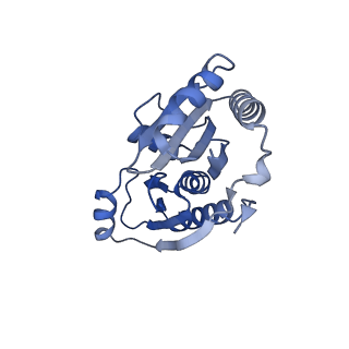 9313_6n09_J_v1-3
Cryo-EM structure of the HO BMC shell: subregion classified for BMC-T: TD-TDTDTD