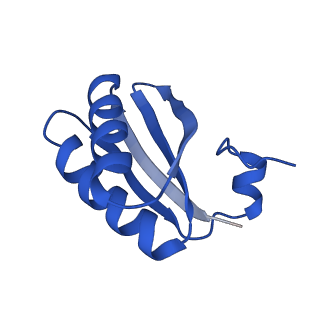 9313_6n09_KB_v1-3
Cryo-EM structure of the HO BMC shell: subregion classified for BMC-T: TD-TDTDTD