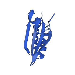 9313_6n09_KE_v1-3
Cryo-EM structure of the HO BMC shell: subregion classified for BMC-T: TD-TDTDTD