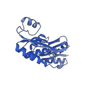 9313_6n09_K_v1-3
Cryo-EM structure of the HO BMC shell: subregion classified for BMC-T: TD-TDTDTD