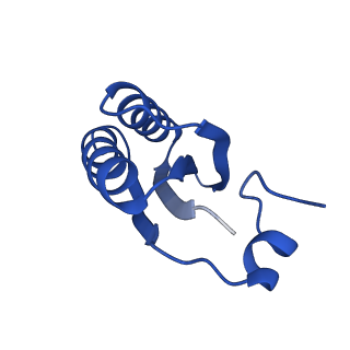 9313_6n09_LB_v1-3
Cryo-EM structure of the HO BMC shell: subregion classified for BMC-T: TD-TDTDTD