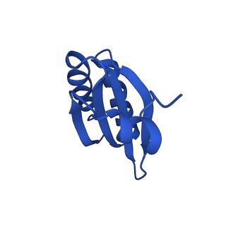 9313_6n09_LC_v1-3
Cryo-EM structure of the HO BMC shell: subregion classified for BMC-T: TD-TDTDTD