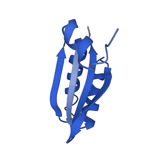 9313_6n09_LD_v1-3
Cryo-EM structure of the HO BMC shell: subregion classified for BMC-T: TD-TDTDTD