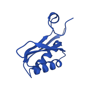 9313_6n09_LE_v1-3
Cryo-EM structure of the HO BMC shell: subregion classified for BMC-T: TD-TDTDTD