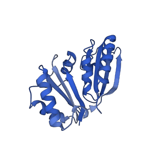 9313_6n09_L_v1-3
Cryo-EM structure of the HO BMC shell: subregion classified for BMC-T: TD-TDTDTD