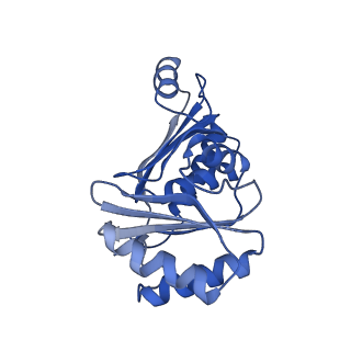 9313_6n09_M_v1-3
Cryo-EM structure of the HO BMC shell: subregion classified for BMC-T: TD-TDTDTD