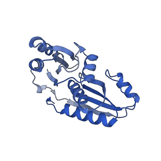 9313_6n09_N_v1-3
Cryo-EM structure of the HO BMC shell: subregion classified for BMC-T: TD-TDTDTD