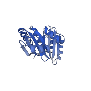 9313_6n09_O_v1-3
Cryo-EM structure of the HO BMC shell: subregion classified for BMC-T: TD-TDTDTD