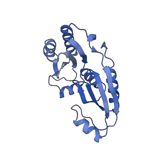 9313_6n09_P_v1-3
Cryo-EM structure of the HO BMC shell: subregion classified for BMC-T: TD-TDTDTD