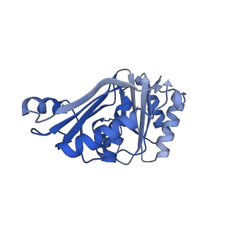 9313_6n09_Q_v1-3
Cryo-EM structure of the HO BMC shell: subregion classified for BMC-T: TD-TDTDTD