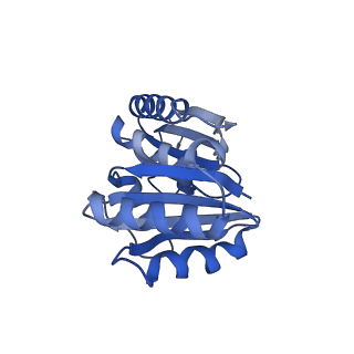 9313_6n09_R_v1-3
Cryo-EM structure of the HO BMC shell: subregion classified for BMC-T: TD-TDTDTD