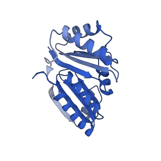 9313_6n09_S_v1-3
Cryo-EM structure of the HO BMC shell: subregion classified for BMC-T: TD-TDTDTD