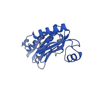 9313_6n09_T_v1-3
Cryo-EM structure of the HO BMC shell: subregion classified for BMC-T: TD-TDTDTD