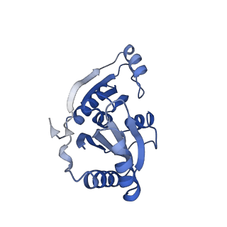 9313_6n09_U_v1-3
Cryo-EM structure of the HO BMC shell: subregion classified for BMC-T: TD-TDTDTD