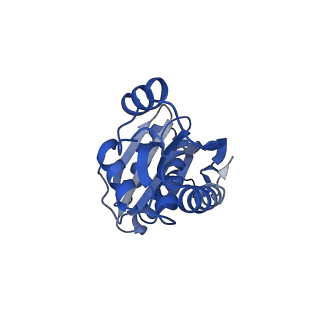 9313_6n09_V_v1-3
Cryo-EM structure of the HO BMC shell: subregion classified for BMC-T: TD-TDTDTD