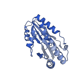 9313_6n09_W_v1-3
Cryo-EM structure of the HO BMC shell: subregion classified for BMC-T: TD-TDTDTD