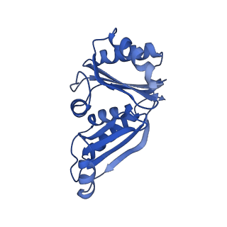 9313_6n09_X_v1-3
Cryo-EM structure of the HO BMC shell: subregion classified for BMC-T: TD-TDTDTD