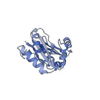 9314_6n0f_A_v1-2
Cryo-EM structure of the HO BMC shell: subregion classified for BMC-T: TD-TSTSTS