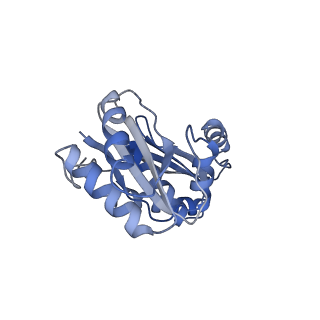 9314_6n0f_A_v1-3
Cryo-EM structure of the HO BMC shell: subregion classified for BMC-T: TD-TSTSTS