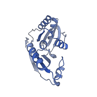 9314_6n0f_B_v1-2
Cryo-EM structure of the HO BMC shell: subregion classified for BMC-T: TD-TSTSTS