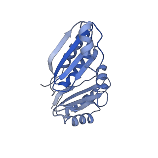 9314_6n0f_C_v1-3
Cryo-EM structure of the HO BMC shell: subregion classified for BMC-T: TD-TSTSTS