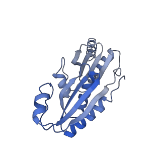 9314_6n0f_D_v1-2
Cryo-EM structure of the HO BMC shell: subregion classified for BMC-T: TD-TSTSTS