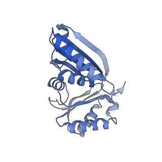 9314_6n0f_E_v1-2
Cryo-EM structure of the HO BMC shell: subregion classified for BMC-T: TD-TSTSTS