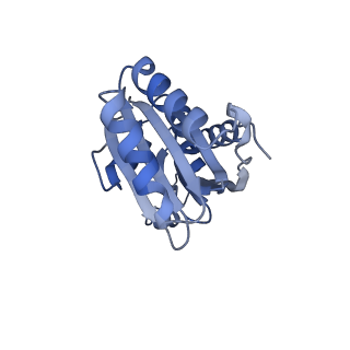 9314_6n0f_F_v1-2
Cryo-EM structure of the HO BMC shell: subregion classified for BMC-T: TD-TSTSTS