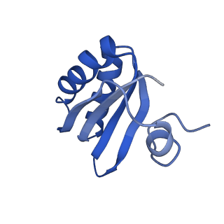 9314_6n0f_GB_v1-3
Cryo-EM structure of the HO BMC shell: subregion classified for BMC-T: TD-TSTSTS